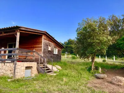 a log cabin with a staircase next to a tree at A Casetta in Pianottoli-Caldarello