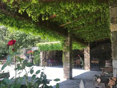 a pergola covered in green ivy with a red rose at A Muvrella in Pioggiola