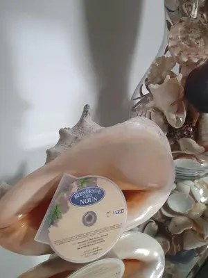 a shell with a label on it next to some shells at Villa Petra Bianca Suites & Chambres in Bonifacio