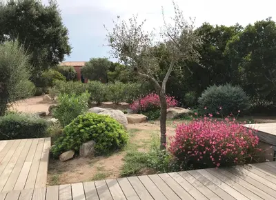 a garden with pink flowers and a tree at Les Hauts de la Testa in Sainte-Lucie de Porto-Vecchio