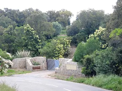 a road with a stone wall on the side of the road at Les Hauts de la Testa in Sainte-Lucie de Porto-Vecchio