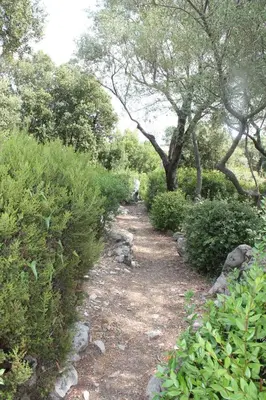 a dirt trail with trees and bushes on a hill at Les Hauts de la Testa in Sainte-Lucie de Porto-Vecchio