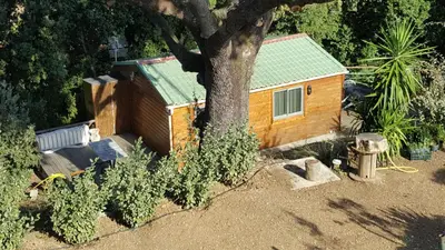 a small wooden house with a tree next to it at Le petit chalet in Porticcio