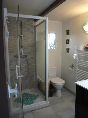 a bathroom with a shower and a toilet at Le petit chalet in Porticcio