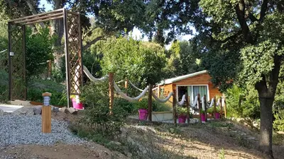 a wooden house with a fence and a tree at Le petit chalet in Porticcio