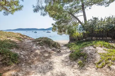 a sandy path leading to a beach with trees at Résidence Pierre & Vacances Premium Vesna Rossa in Porto-Vecchio