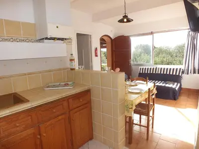 a kitchen and living room with a table and a couch at Residence Capicciolo in Olmeto