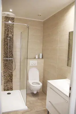 a bathroom with a toilet and a shower and a sink at Charmant F2 dans joli village Corse in Omessa