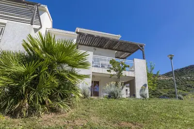 a house with a palm tree in front of it at Résidence Odalys Casa d'Orinaju in Oletta