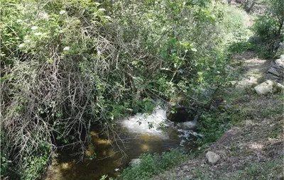 a stream of water in a field with trees at Nice Home In Ville Di Paraso With Wifi in Ville-di-Paraso