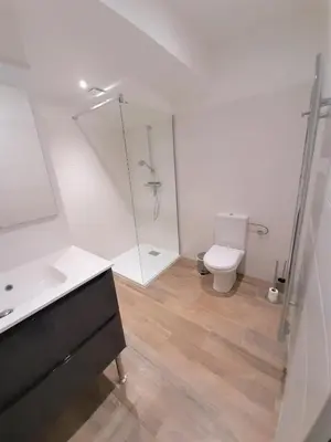a bathroom with a shower and a toilet and a sink at Camélia Plein Soleil Bord de Plage in Coti-Chiavari