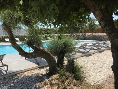 a tree in front of a swimming pool at Villa Louise in Bonifacio