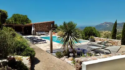 a pool with chairs and a house and a palm tree at Au pied des oliviers in Calenzana