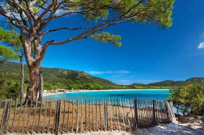 a fence on a beach with a tree and blue water at Résidence Les Lièges de Palombaggia in Porto-Vecchio