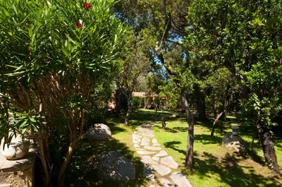 a garden with trees and a stone path at Résidence Les Lièges de Palombaggia in Porto-Vecchio