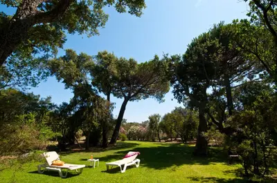 two chairs and a table in a park with trees at Résidence Les Lièges de Palombaggia in Porto-Vecchio