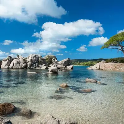 Résidence Les Lièges de Palombaggia
