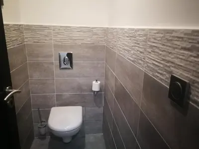 a bathroom with a toilet and a tiled wall at Casa di a Restonica in Corte