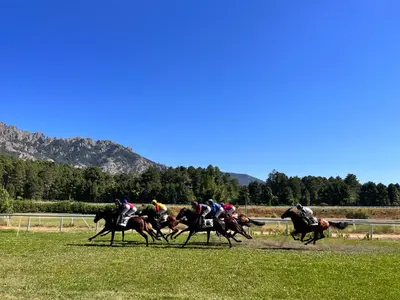 a group of horses racing on a race track at Hôtel confidentiel Le Grecale in Pianottoli-Caldarello