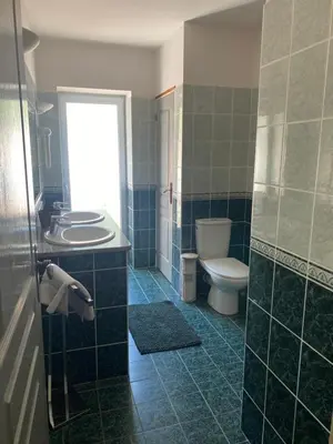a bathroom with a toilet and a sink at Chez Dume in Santa-Lucia-di-Tallano