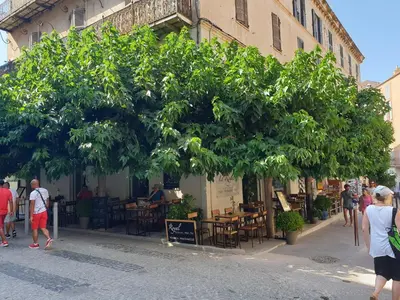 a group of people walking down a street under a large tree at Le Royal Hôtel Restaurant in Bonifacio