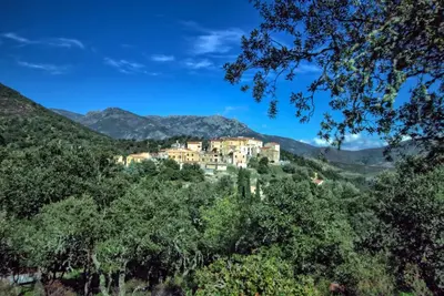 a house on a hill in the middle of trees at A Ghjuvellina in Piedigriggio