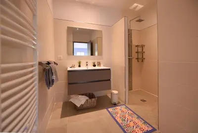 a bathroom with a sink and a shower at Sarl Valinco Locations in Olmeto