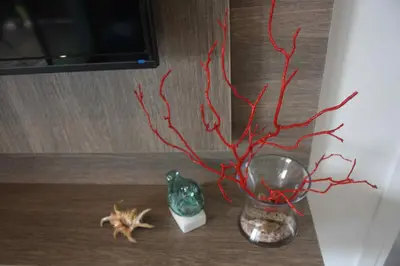 a vase with a branch and a starfish on a table at Résidence U Rapalinu in Molini