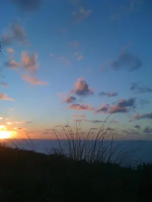 a sunset on top of a hill with tall grass at Casa Vadde Lungha superbe vue mer 8 personnes in Coti-Chiavari