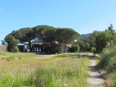 a house with a large tree in the middle of a field at Apartment Cala Sultana-3 by Interhome in Usciolo