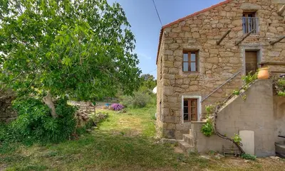 an old stone building with a tree next to it at Gîte à Piscia de Figari Petru Barbara in Figari
