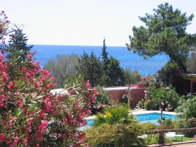 a house with a swimming pool and flowers at Les Bungalows de Figha in Tarcu