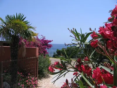 a garden with pink flowers and a fence at Les Bungalows de Figha in Tarcu