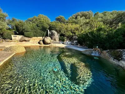 a pool of water with rocks and trees at Tour Génoise Micalona, Domaine de l'Oglisatru in Olmeto