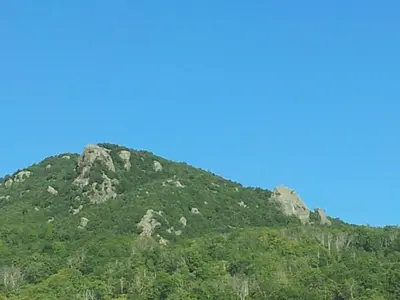 a mountain covered in green trees and a blue sky at English Club in Corsica A in Porri