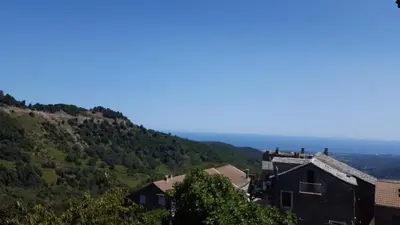 a house on top of a hill with trees at English Club in Corsica B&B in Porri