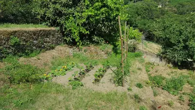 a garden with a bench in the middle of a field at English Club in Corsica B&B in Porri