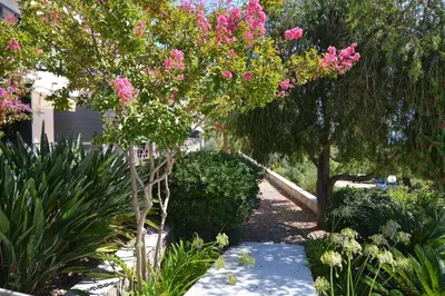 a garden with pink flowers on a tree at Hotel Les Eucalyptus in Porto Pollo