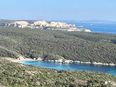 a view of a river on a hill with trees at Gîte à Poggiale de Figari in Figari