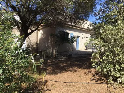 a white building with a tree in front of it at Gîte à Poggiale de Figari in Figari