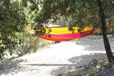 a hammock hanging from a tree in a forest at Camping Torraccia in Cargèse