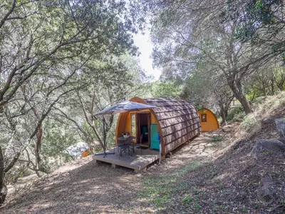 a small tent in the middle of a forest at Camping Torraccia in Cargèse