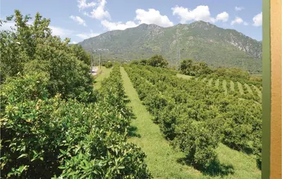 a field of apple trees with a mountain in the background at Awesome Home In Santa Maria Poggio in Santa-Maria-Poggio