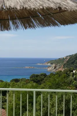 a swimming pool with lounge chairs and an umbrella at Residenza l 'Alivetu in Cargèse