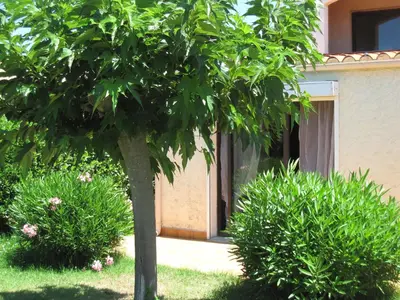a tree in front of a building with bushes at Residence les Bell'ombres in Cargèse