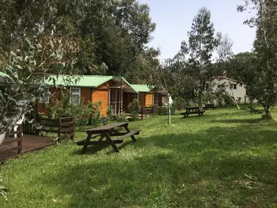 a picnic table in the grass next to a cabin at Camping du Soleil in Appietto