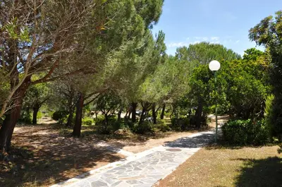 a path in a park with trees and a street light at Domaine Bocca di Feno in Bonifacio