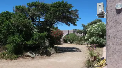a garden with trees and flowers and a building at Domaine Bocca di Feno in Bonifacio