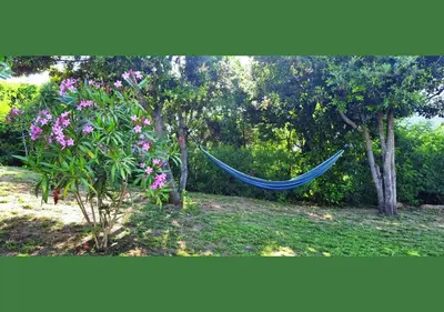 a blue hammock in a garden with trees and flowers at Vista Mare in Porticcio