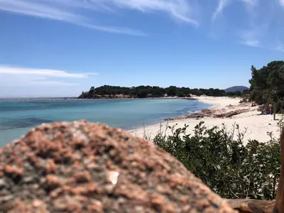 a view of a beach and the ocean at Villa Orethaga Piscine 10 pers porto Vecchio in Porto-Vecchio